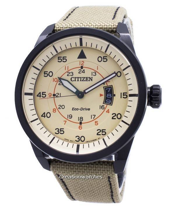 Citizen Aviator 2024 | favors.com