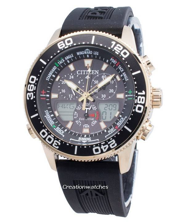 citizen promaster diver chronograph