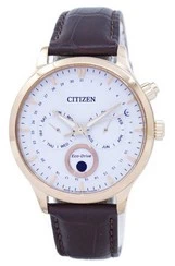 Citizen Eco-Drive Moon Phase AP1052-00A Japan Made Men's Watch