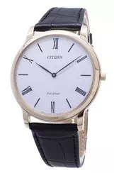 Citizen Eco-Drive Stilleto Super Thin AR1113-12B Men's Watch
