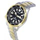 Citizen Promaster Fugu Limited Edition Automatic Diver's NY0094-85E 200M Men's Watch