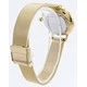 Skagen Anita Gold Tone Mesh Bracelet Crystallized SKW2150 Women's Watch